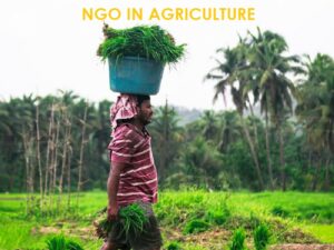 Ngo in agriculture